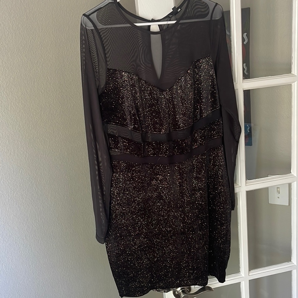 Sheer long Sleeve Bodycon Dress